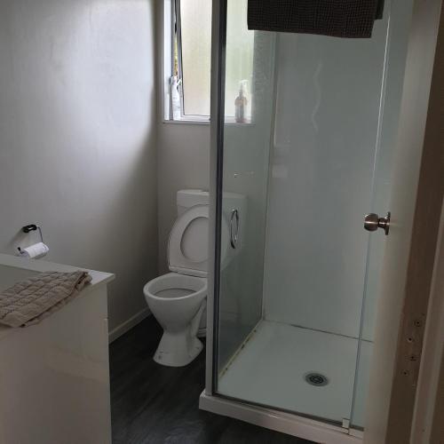 uma casa de banho com um WC e uma cabina de duche em vidro. em Family friendly unit em Hastings