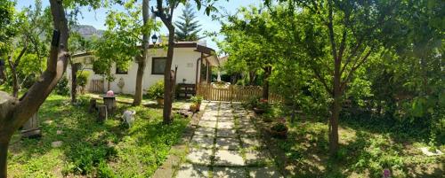a yard with a house with a fence and trees at Villino L'Aranceto Sorrentino in Meta