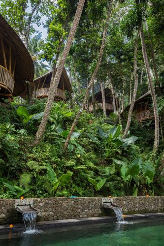 a pool in front of a resort with trees at Bamboo Turtles Ecolodge in Ubud