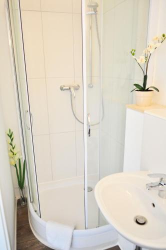 a bathroom with a shower and a sink at Art Hotel & Hostel in Passau