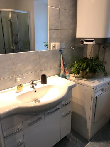 a bathroom with a sink and a mirror at SWEET HOME in Krásná Lípa