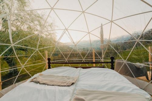 Bett in einem Kuppelzelt mit Bergblick in der Unterkunft Bubble-Suite in Graubünden in Versam