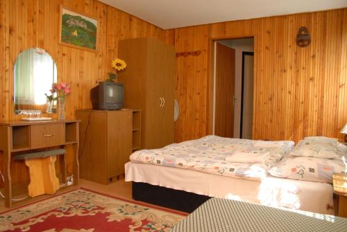 1 dormitorio con 1 cama y TV en Bélkő Panzió, en Bélapátfalva