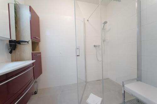 baño con ducha y puerta de cristal en Apartments Oasis Wörthersee neu & zentral, en Krumpendorf am Wörthersee
