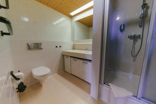 een badkamer met een toilet, een wastafel en een douche bij Apartment Zirbengeist Gerlitzen in Treffen
