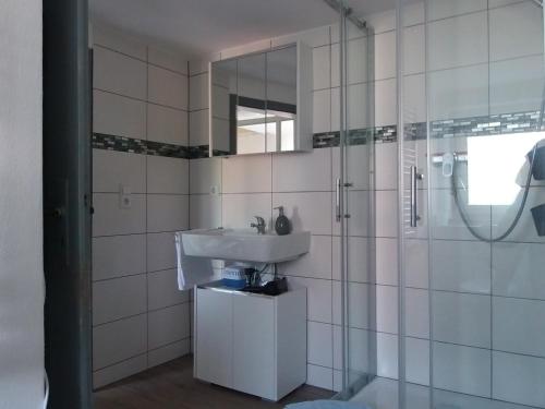 a bathroom with a sink and a glass shower at Ferienwohnung Palatina Annweiler in Annweiler am Trifels