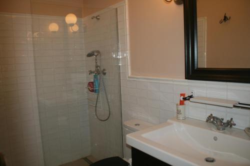 a bathroom with a shower and a toilet and a sink at B&B Sallent in Sallent del Llobregat