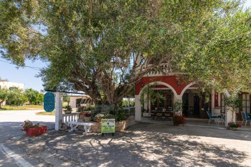 Φωτογραφία από το άλμπουμ του Dopia's Garden Studios στον Βασιλικό