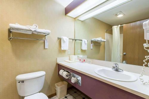 ein Badezimmer mit einem Waschbecken, einem WC und einem Spiegel in der Unterkunft Baymont by Wyndham Omaha SW in Omaha