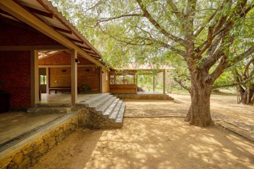 a house with a tree in front of it at Hide Yala in Tissamaharama