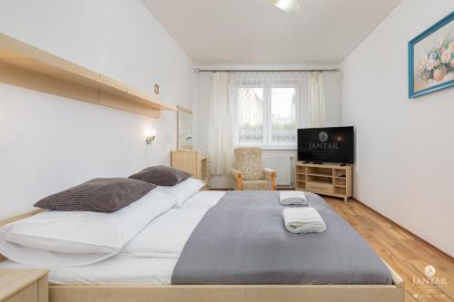 コウォブジェクにあるJantar Apartamenty - Uzdrowisko Kołobrzegのベッドルーム(大型ベッド1台、テレビ付)