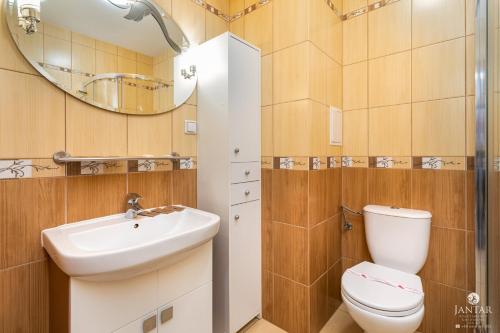 a bathroom with a sink and a toilet and a mirror at Jantar Apartamenty - Uzdrowisko Kołobrzeg in Kołobrzeg