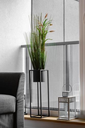 a plant in a vase on a table next to a couch at ALFA 14 in Włocławek