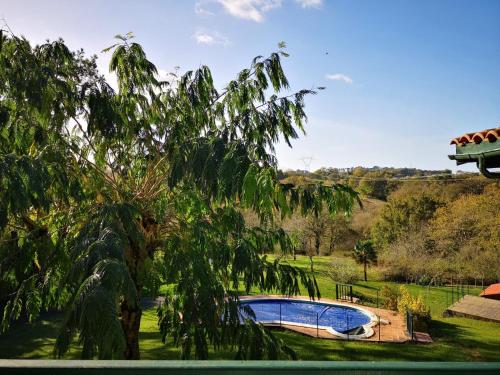- une piscine dans une cour avec un arbre dans l'établissement maison et table d'hôtes Xori Kanta, à Ascain