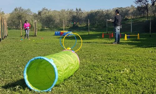Sole 6 - Monolocale con soppalco – Photos 5