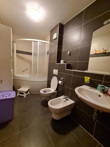 a bathroom with a toilet and a sink and a shower at Apartman Luka in Pula