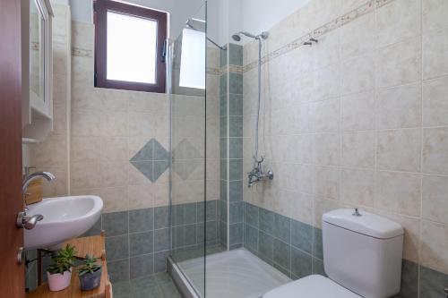 a bathroom with a shower and a toilet and a sink at Villaki in Maroulás
