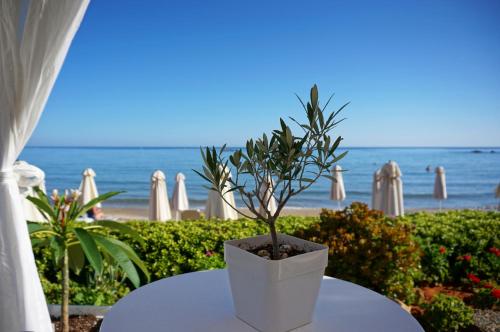 a potted plant sitting on a table next to the beach at Talgo Suites in Stalida