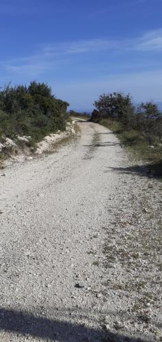 a gravel road with trees on the side of it at Liocharis Akro 1 in Lourdhata