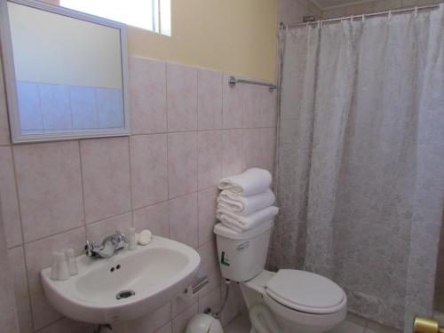 a bathroom with a toilet and a sink at Altos del Lascar in Toconao