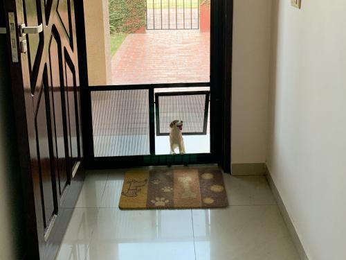 a dog sitting in the doorway of a door at Casa Completa para Familias o Grupos in Santa Cruz de la Sierra