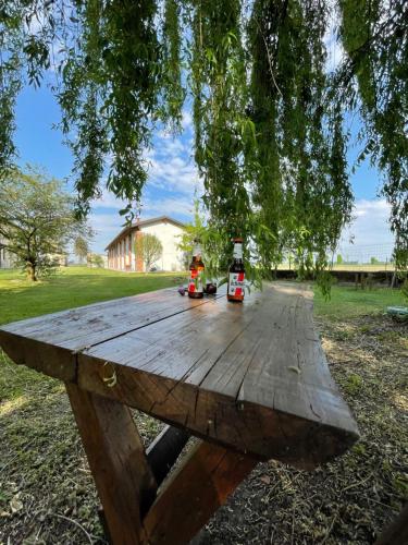 Agriturismo Cascina Mora – Photos 3