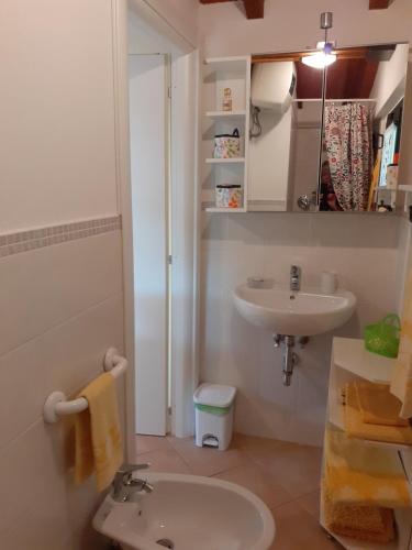 La petite salle de bains est pourvue d'un lavabo et de toilettes. dans l'établissement La casetta nel prato, à Vicchio