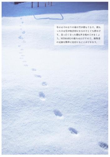 a pair of footprints in the snow at NEMARU Live with Books in Nagaoka