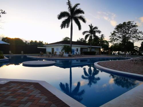 uma piscina com uma palmeira e uma casa em Hermosa casa de playa en bejuco em Esterillos Este