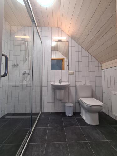 uma casa de banho com um WC, um lavatório e um chuveiro em Viesu nams UPE em Roja