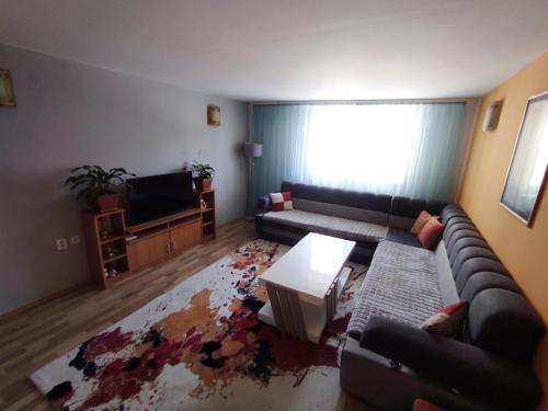 een woonkamer met een bank en een tv bij Apartment Jasmina Sarajevo in Sarajevo
