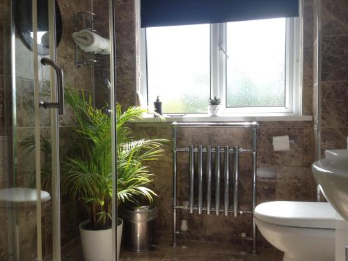 a bathroom with a toilet and a window and plants at ** SPECIAL OFFER ** Half price - Book your Double room with us now in Willand