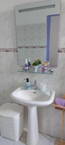 La salle de bains est pourvue d'un lavabo blanc et d'un miroir. dans l'établissement Villa Raven`s Paradise (Lavender), à Willemstad