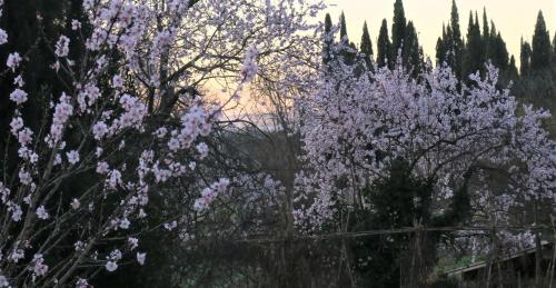 Φωτογραφία από το άλμπουμ του CheRiedel Bed & Breakfast & Art Gallery σε Azillanet
