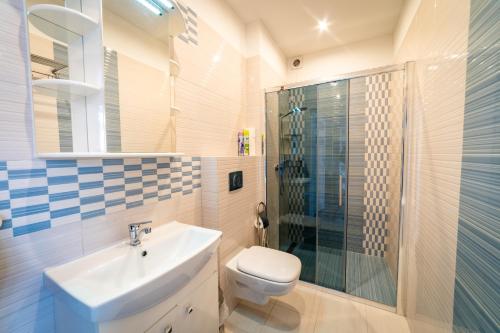 ミコワイキにあるAlicja Apartamentのバスルーム(トイレ、洗面台、シャワー付)
