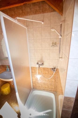 a bathroom with a tub and a shower with a sink at Radics Panzió Étterem és Pihenő Központ in Letenye