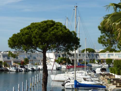 Sol-y-Days Darse, marina moderne toute équipée