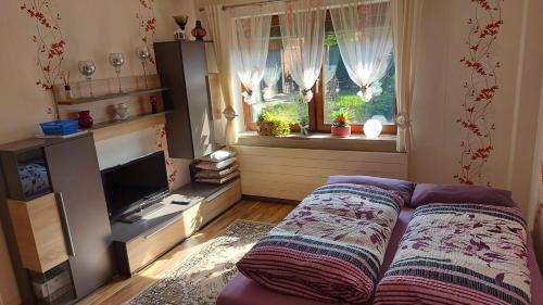 a bedroom with a bed and a television and a window at Appartement mit Herz in Zeulenroda