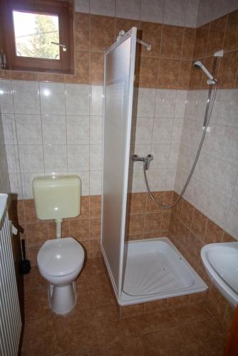 a bathroom with a shower and a toilet and a sink at Radics Panzió Étterem és Pihenő Központ in Letenye
