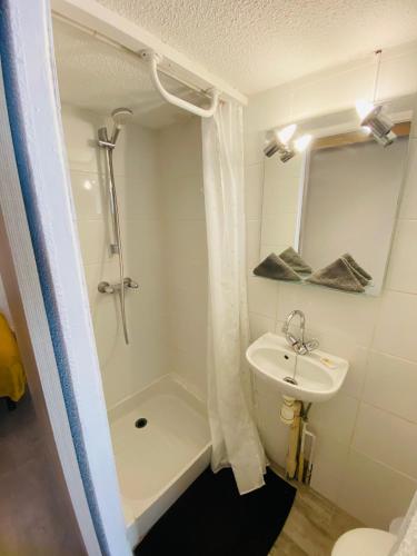 une salle de bain avec un lavabo, une douche et des toilettes dans l'établissement ''Pascal 2'' Eglise Saint Louis Studio Cosy Quartier Haut, à Sète