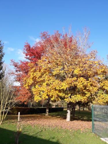 Ein Garten an der Unterkunft Logis de LANGE apt les Ecureuils