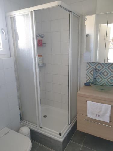 ein Bad mit einer Dusche, einem WC und einem Waschbecken in der Unterkunft Superbe appartement 2 chambres piscine et plage in Gassin