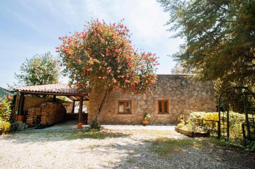 una casa de piedra con un árbol delante en iCHILL Villa Esquina 204 - Connected With Nature en Riba de Âncora