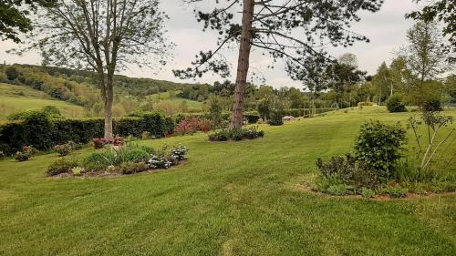 a field of green grass with trees and flowers at Le Parc aux Oiseaux in Le Mesnil-Simon