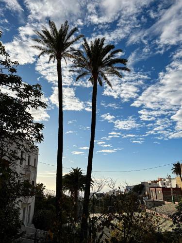two palm trees in front of a cloudy sky at Villa Nestor in Ingenio