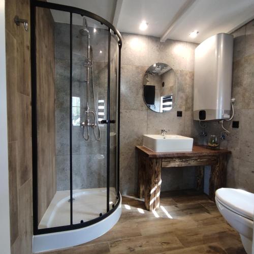 a bathroom with a shower and a sink at Domek pod Karpaczem in Miłków