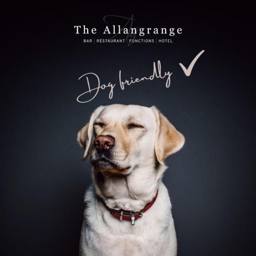 宿泊客と一緒にAllangrange Hotel near Invernessに滞在中のペット