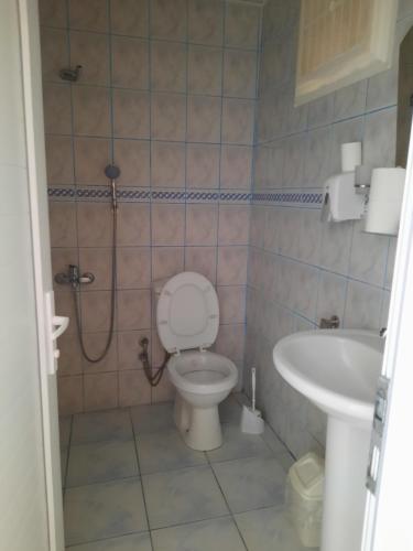a bathroom with a toilet and a sink at Adrasan Maviay Hotel in Adrasan