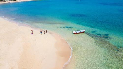 a group of people standing on a beach with a boat at Stella Aparthotel, Las Terrenas in Las Terrenas