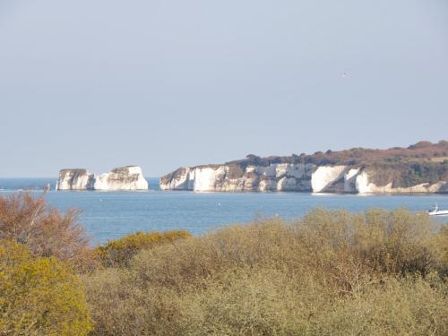 a view of a body of water with white cliffs at Bluebell Apartment in Swanage